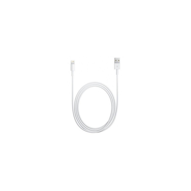 chargeur lightning (apple)
