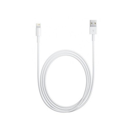 chargeur lightning (apple)