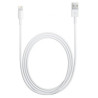 chargeur lightning (apple)